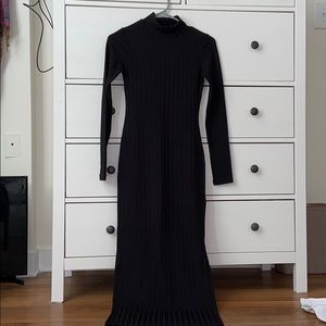 NWT Topshop long sleeve turtleneck maxi dress